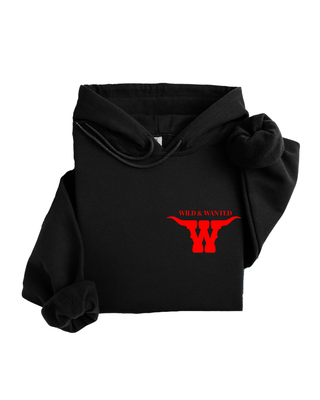 PLAY SOMETHING COUNTRY HOODIE