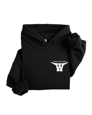 PLAY SOMETHING COUNTRY HOODIE